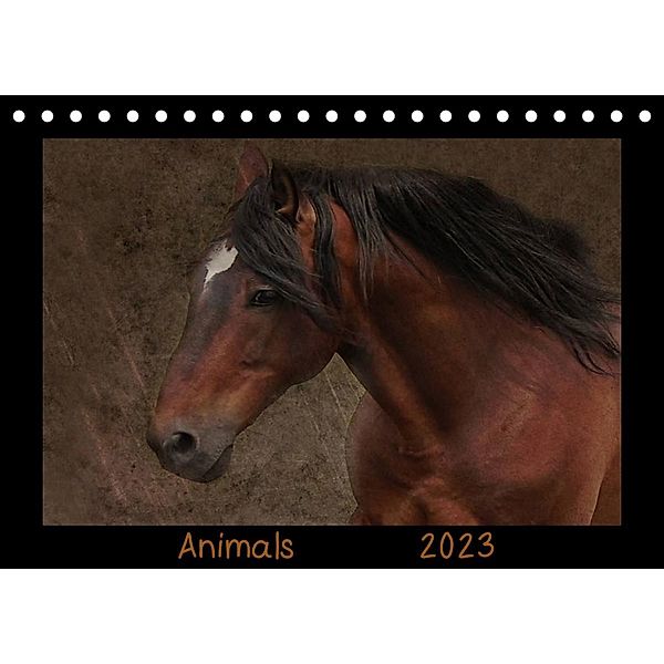 Animals (Tischkalender 2023 DIN A5 quer), Claudia Möckel / Lucy L!u