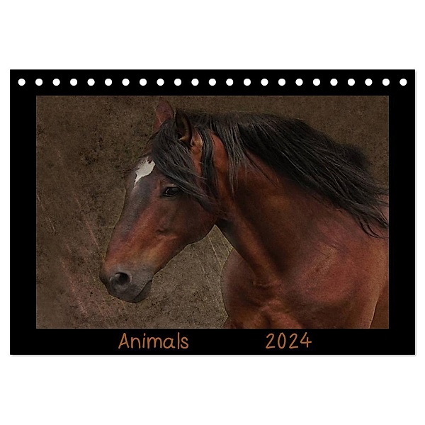 Animals (Tischkalender 2024 DIN A5 quer), CALVENDO Monatskalender, Claudia Möckel / Lucy L!u
