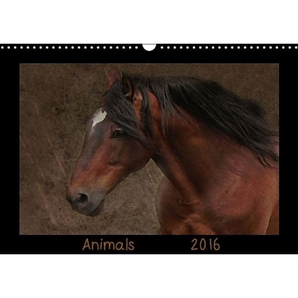Animals (Wandkalender 2016 DIN A3 quer), Claudia Möckel, Lucy L!u