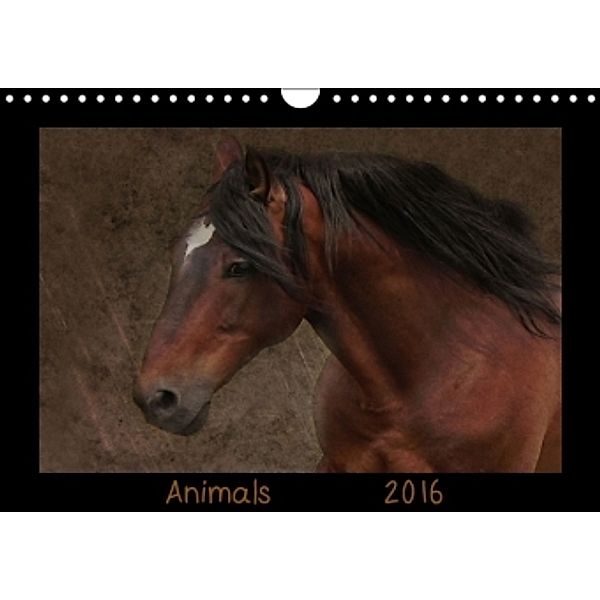 Animals (Wandkalender 2016 DIN A4 quer), Claudia Möckel, Lucy L!u