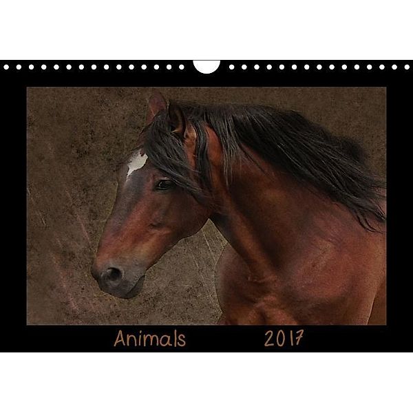 Animals (Wandkalender 2017 DIN A4 quer), Claudia Möckel / Lucy L!u
