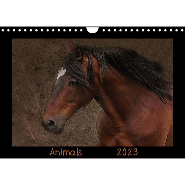Animals (Wandkalender 2023 DIN A4 quer), Claudia Möckel / Lucy L!u