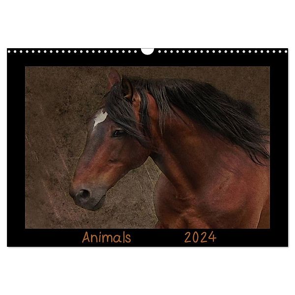 Animals (Wandkalender 2024 DIN A3 quer), CALVENDO Monatskalender, Claudia Möckel / Lucy L!u