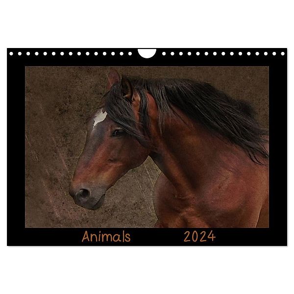 Animals (Wandkalender 2024 DIN A4 quer), CALVENDO Monatskalender, Claudia Möckel / Lucy L!u