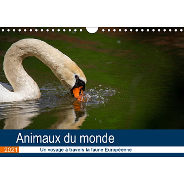 Animaux du monde - Un voyage à travers la faune européenne (Calendrier mural 2021 DIN A4 horizontal), Dirk Fritsche (Five-Birds Photography - www.5bp.de)