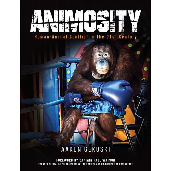 Animosity, Aaron Gekoski