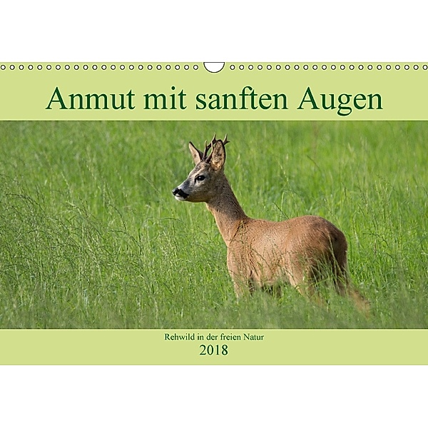 Anmut mit sanften Augen - Rehwild in der freien Natur (Wandkalender 2018 DIN A3 quer), Sabine Grahneis