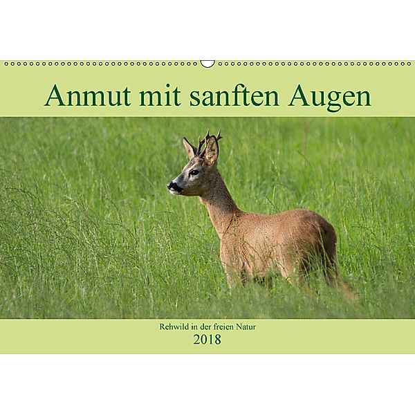 Anmut mit sanften Augen - Rehwild in der freien Natur (Wandkalender 2018 DIN A2 quer), Sabine Grahneis