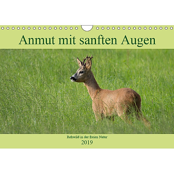 Anmut mit sanften Augen - Rehwild in der freien Natur (Wandkalender 2019 DIN A4 quer), Sabine Grahneis