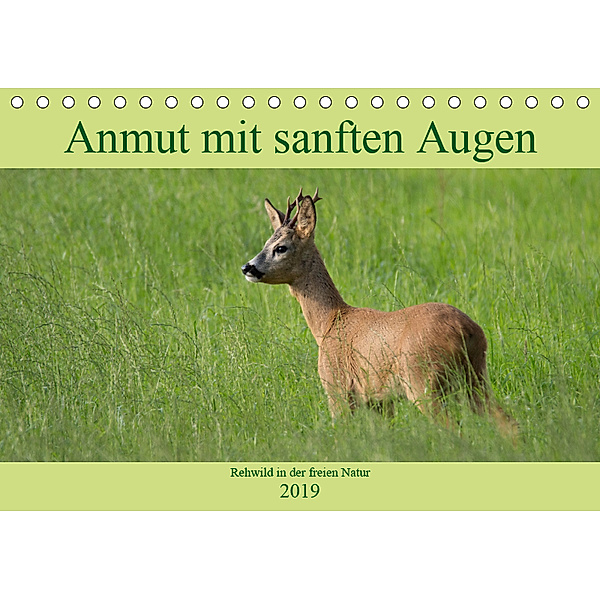 Anmut mit sanften Augen - Rehwild in der freien Natur (Tischkalender 2019 DIN A5 quer), Sabine Grahneis