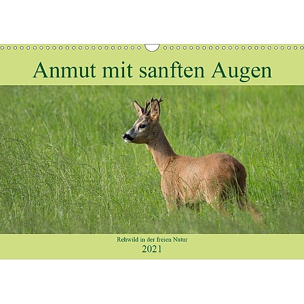 Anmut mit sanften Augen - Rehwild in der freien Natur (Wandkalender 2021 DIN A3 quer), Sabine Grahneis