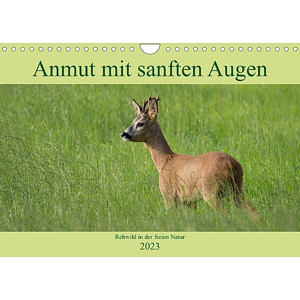 Anmut mit sanften Augen - Rehwild in der freien Natur (Wandkalender 2023 DIN A4 quer), Sabine Grahneis