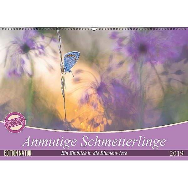 Anmutige Schmetterlinge (Wandkalender 2019 DIN A2 quer), Perdita Petzl