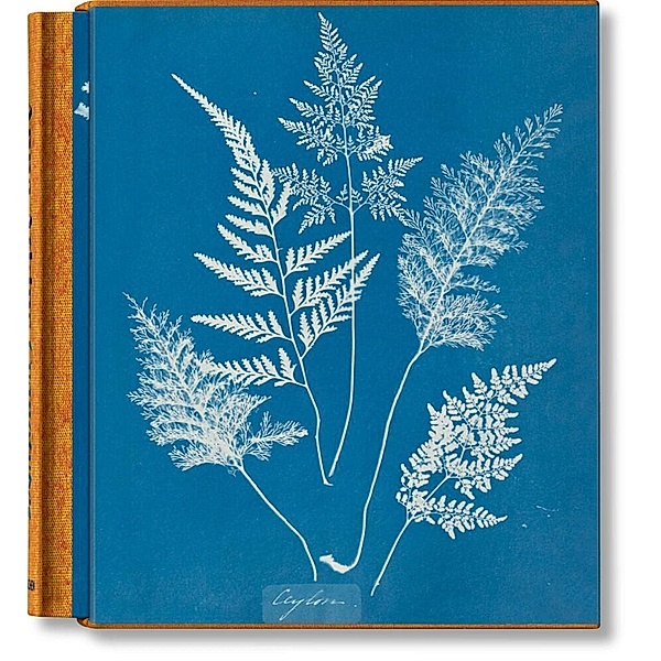 Anna Atkins. Cyanotypes, Peter Walther