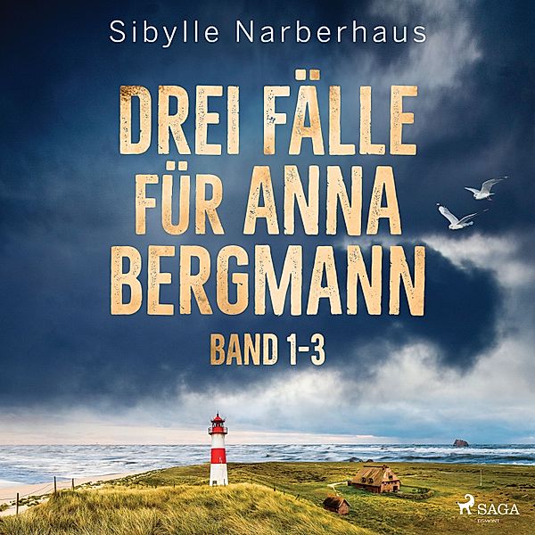 Anna Bergmann - Drei Fälle für Anna Bergmann (Band 1-3), Sibylle Narberhaus