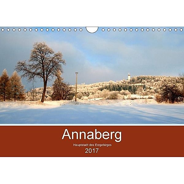 Annaberg - Hauptstadt des Erzgebirges (Wandkalender 2017 DIN A4 quer), Reinalde Roick