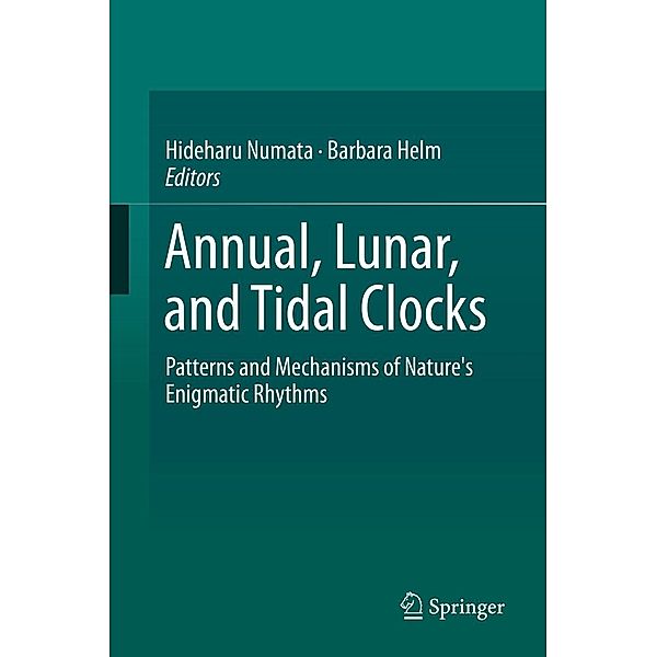 Annual, Lunar, and Tidal Clocks