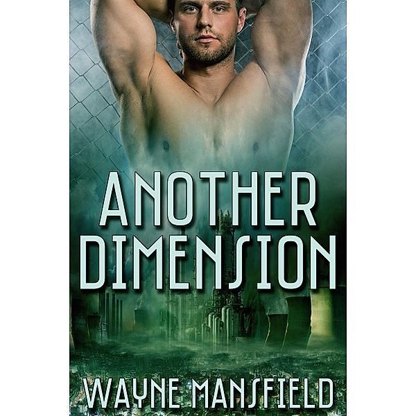 Another Dimension / JMS Books LLC, Wayne Mansfield