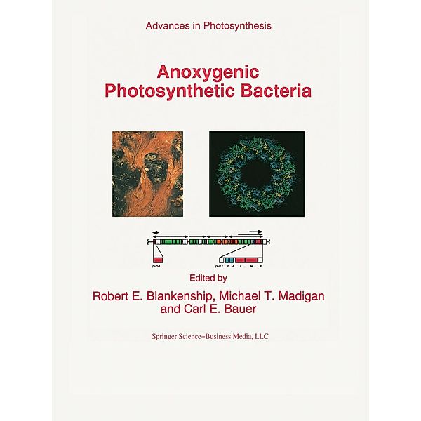 Anoxygenic Photosynthetic Bacteria / Advances in Photosynthesis and Respiration Bd.2