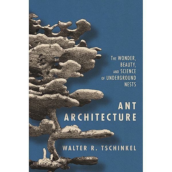 Ant Architecture, Walter R. Tschinkel