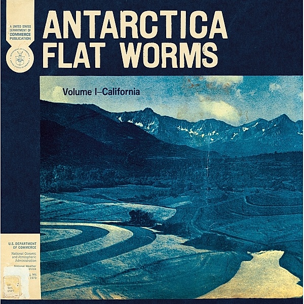 Antarctica, Flat Worms