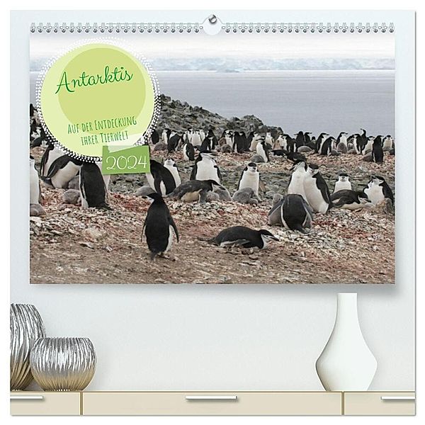 Antarktis Auf der Entdeckung ihrer Tierwelt (hochwertiger Premium Wandkalender 2024 DIN A2 quer), Kunstdruck in Hochglanz, Alain Gaymard