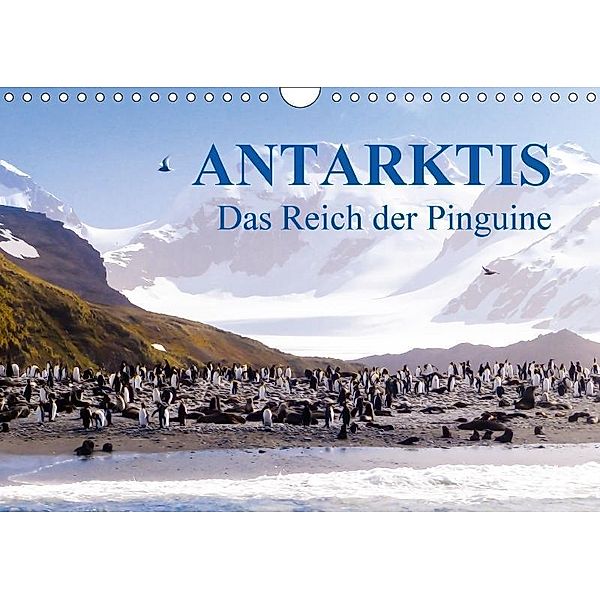 Antarktis - Das Reich der Pinguine CH-Version (Wandkalender 2017 DIN A4 quer), Max Steinwald