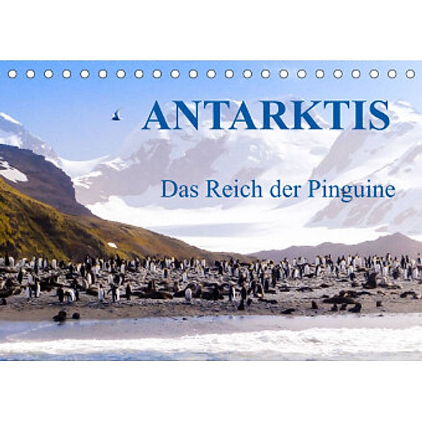 Antarktis - Das Reich der Pinguine CH-Version (Tischkalender 2022 DIN A5 quer), Max Steinwald