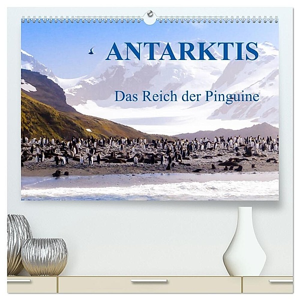 Antarktis - Das Reich der Pinguine (hochwertiger Premium Wandkalender 2024 DIN A2 quer), Kunstdruck in Hochglanz, Max Steinwald