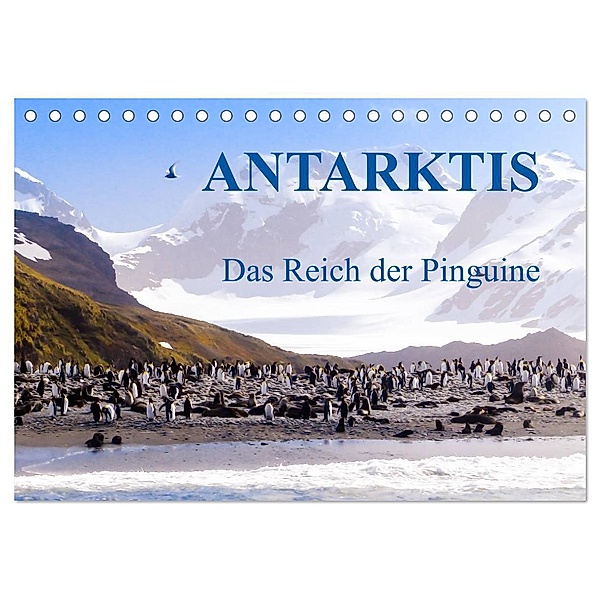 Antarktis - Das Reich der Pinguine (Tischkalender 2024 DIN A5 quer), CALVENDO Monatskalender, Max Steinwald