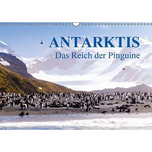 Antarktis - Das Reich der Pinguine (Wandkalender 2016 DIN A3 quer), Max Steinwald