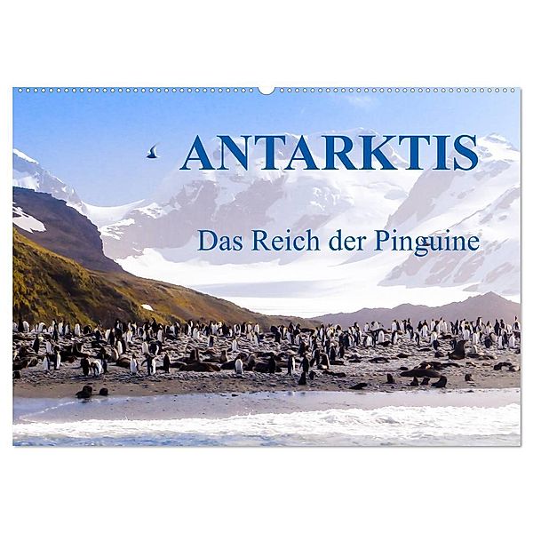 Antarktis - Das Reich der Pinguine (Wandkalender 2024 DIN A2 quer), CALVENDO Monatskalender, Max Steinwald