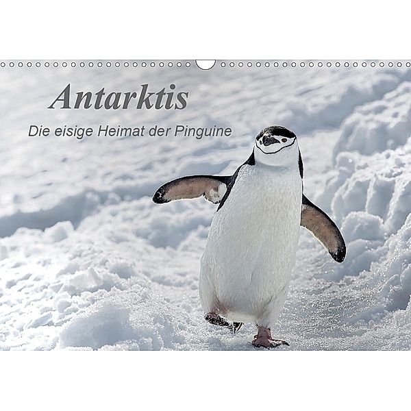 Antarktis, die eisige Heimat der Pinguine (Wandkalender 2021 DIN A3 quer), Michèle Junio