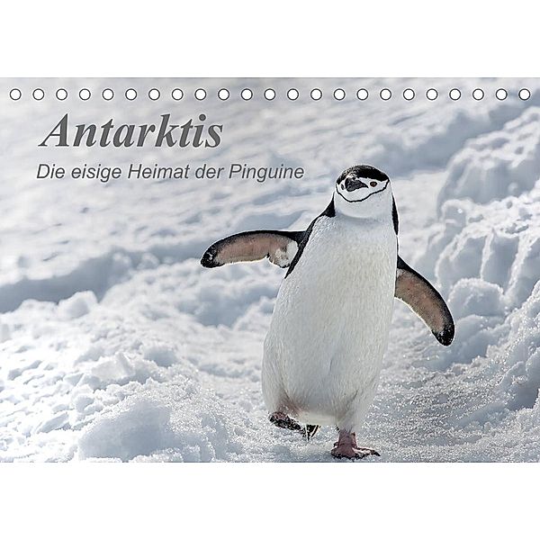 Antarktis, die eisige Heimat der Pinguine (Tischkalender 2023 DIN A5 quer), Michèle Junio