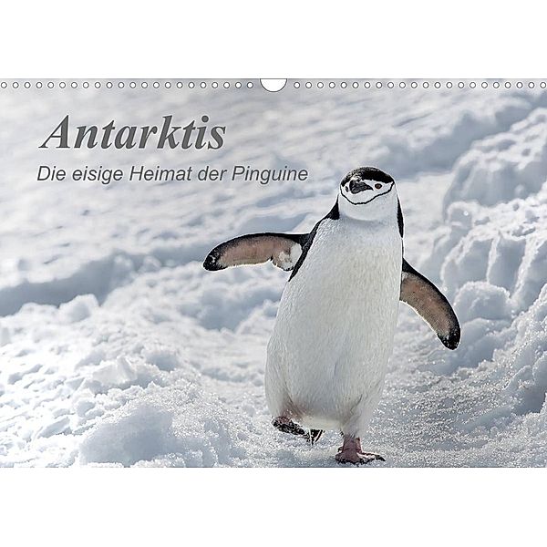 Antarktis, die eisige Heimat der Pinguine (Wandkalender 2023 DIN A3 quer), Michèle Junio