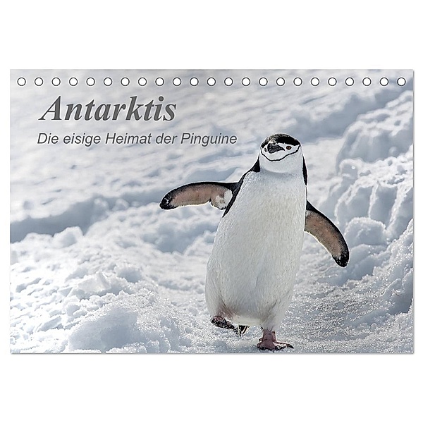 Antarktis, die eisige Heimat der Pinguine (Tischkalender 2024 DIN A5 quer), CALVENDO Monatskalender, Michèle Junio