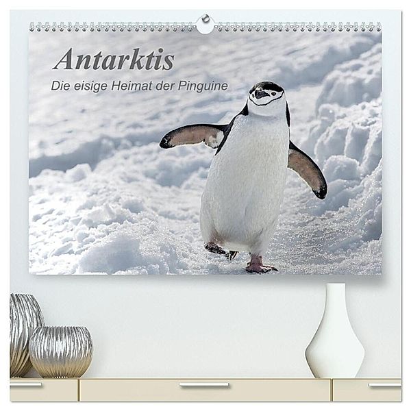 Antarktis, die eisige Heimat der Pinguine (hochwertiger Premium Wandkalender 2025 DIN A2 quer), Kunstdruck in Hochglanz, Calvendo, Michèle Junio