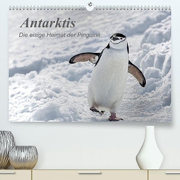 Antarktis, die eisige Heimat der Pinguine (Premium, hochwertiger DIN A2 Wandkalender 2023, Kunstdruck in Hochglanz), Michèle Junio