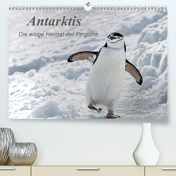 Antarktis, die eisige Heimat der Pinguine(Premium, hochwertiger DIN A2 Wandkalender 2020, Kunstdruck in Hochglanz), Michèle Junio