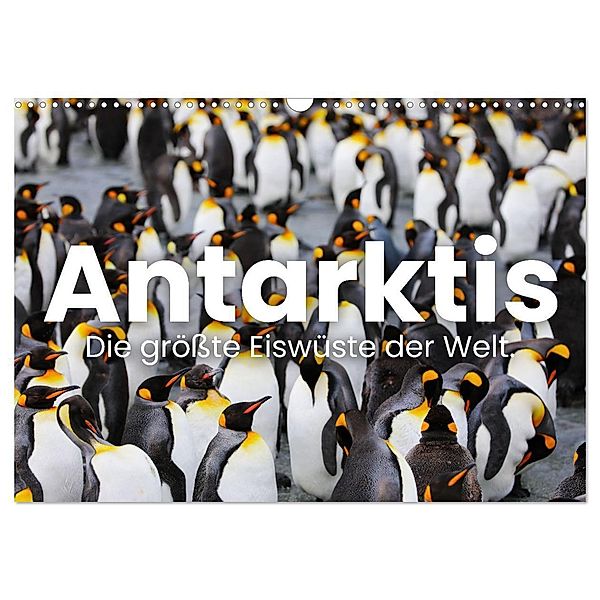 Antarktis - Die größte Eiswüste der Welt. (Wandkalender 2024 DIN A3 quer), CALVENDO Monatskalender, Happy Monkey