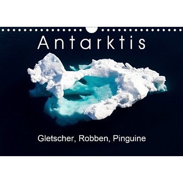 Antarktis Gletscher, Robben, Pinguine (Wandkalender 2020 DIN A4 quer), Thomas Gerber