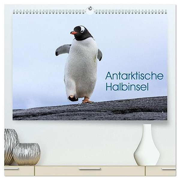 Antarktische Halbinsel (hochwertiger Premium Wandkalender 2024 DIN A2 quer), Kunstdruck in Hochglanz, David Oberholzer