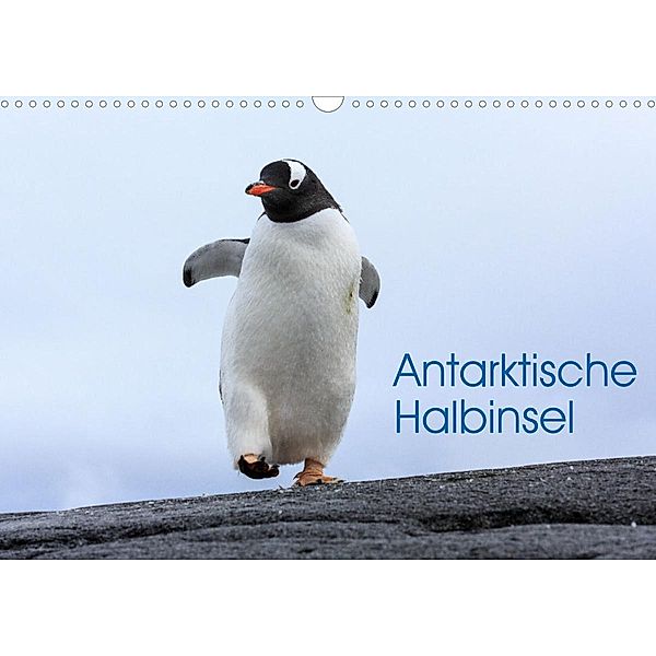 Antarktische Halbinsel (Wandkalender 2023 DIN A3 quer), David Oberholzer