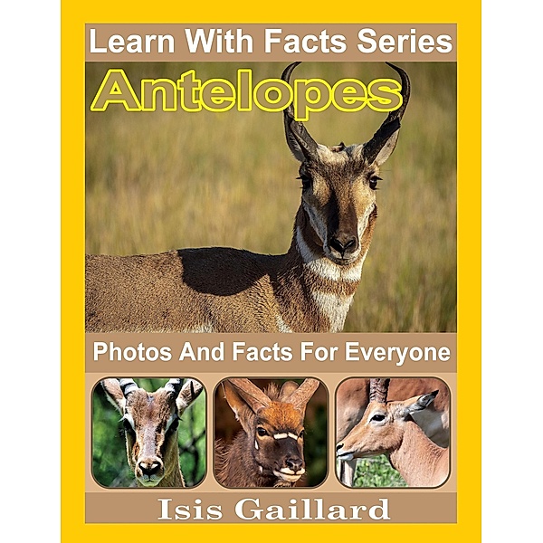 Antelopes Photos and Facts for Everyone (Learn With Facts Series, #106) / Learn With Facts Series, Isis Gaillard