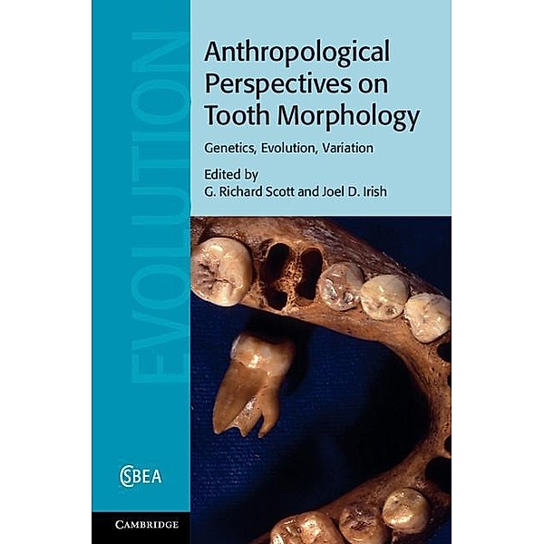 Anthropological Perspectives on Tooth Morphology / Cambridge Studies in Biological and Evolutionary Anthropology