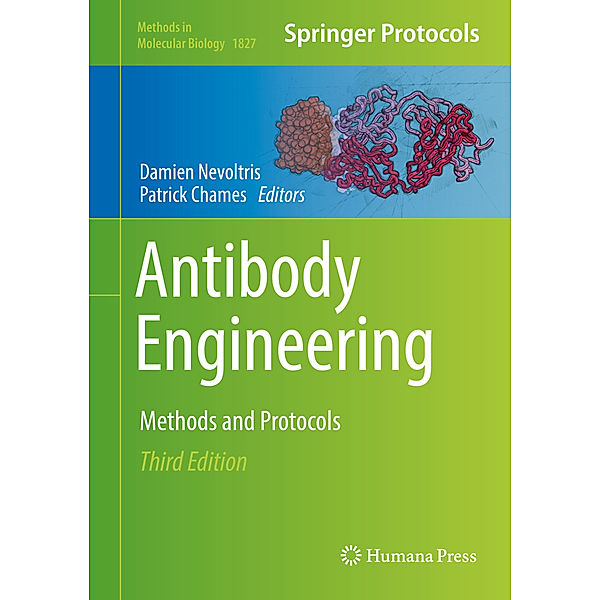 Antibody Engineering