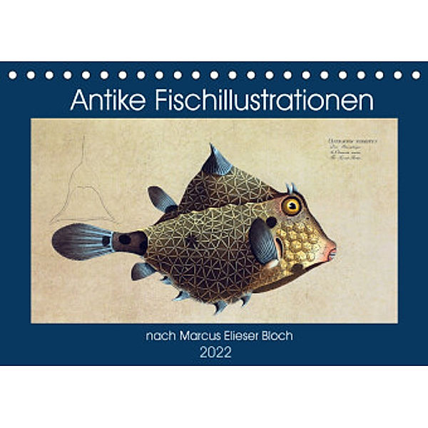 Antike Fischillustrationen nach Marcus Elieser Bloch (Tischkalender 2022 DIN A5 quer), Kavodedition Bonheur18  Marena Camadini  Switzerland