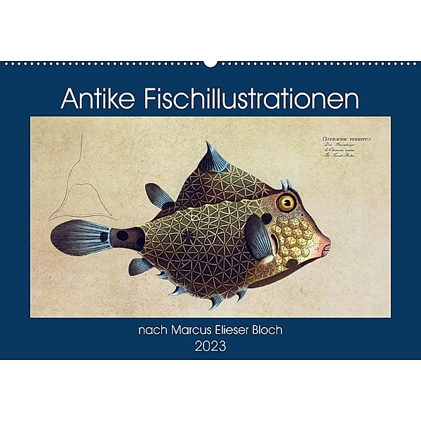 Antike Fischillustrationen nach Marcus Elieser Bloch (Wandkalender 2023 DIN A2 quer), Kavodedition Bonheur18  Marena Camadini  Switzerland