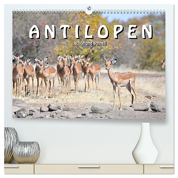Antilopen, schön und schnell (hochwertiger Premium Wandkalender 2024 DIN A2 quer), Kunstdruck in Hochglanz, Robert Styppa