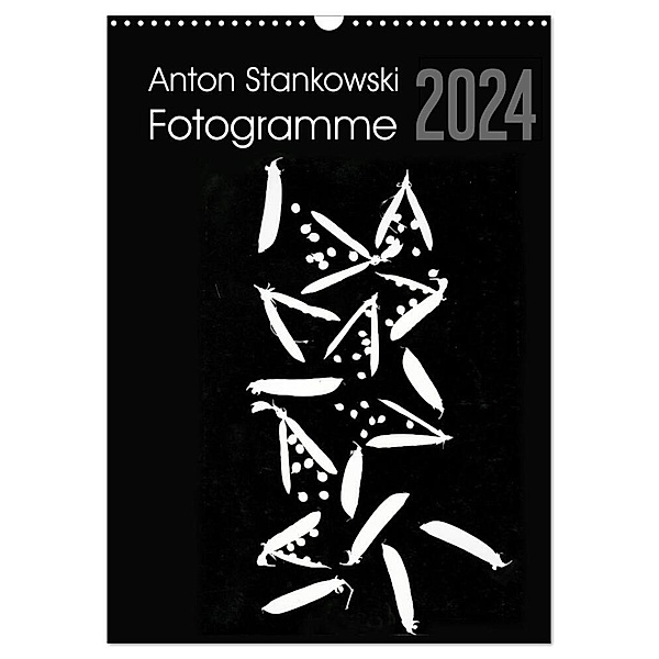 Anton Stankowski Fotogramme (Wandkalender 2024 DIN A3 hoch), CALVENDO Monatskalender, Anton Stankowski